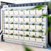 thinpot-garden-wall-2.jpeg